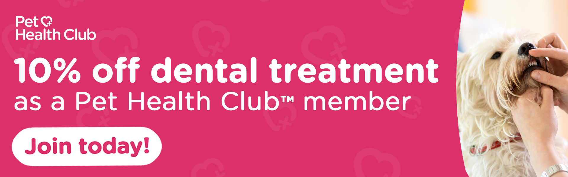 Banner explaining that Pet Health Club members receive 10%25 off all dental treatment.